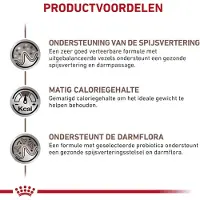 Royal Canin Gastrointestinal Moderate Calorie Kat