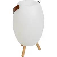 Newgarden Nieuwe Garden APOLO 45 oplaadbare lamp