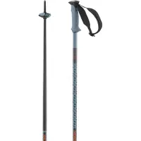 Salomon Polar Pro Stokken