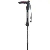 Gabel Explorer Wired F.l Xts Stokken Zilver 80-95 cm