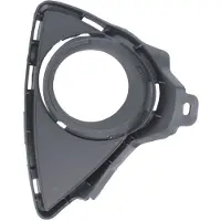 BLIC 6502-07-8118917P Ventilatiegrille, bumper
