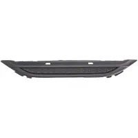 BLIC 6502-07-5509991PP Ventilatiegrille, bumper