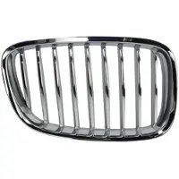 BLIC 6502-07-0067992GP Radiator grill