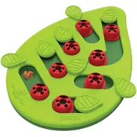 Gebr. De Boon Kattenspel puzzle & play buggin out