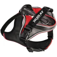 JULIUS K-9 IDC Longwalk Rood - Maat M