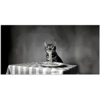 PosterMonkey Poster 160x80 cm - Bengaal - Kat - Tafelkleed - Zwart - Wit - Dier - Posters - Kamer decoratie - Wanddecoratie woonkamer - Muurdecoratie slaapkamer