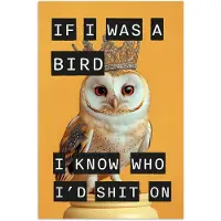 PosterMonkey Poster 40x60 cm - Geel - Uil - Vogel - Decoratie - Posters - Kamer decoratie - Wanddecoratie woonkamer - Muurdecoratie slaapkamer