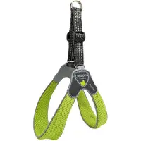 Coralpina Harness Cinquetorri Rood Mt 6 C100Rd060