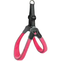 Coralpina Harness Cinquetorri Fl Rz Mt 4 C100Pf040