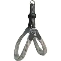 Coralpina Harness Cinquetorri L. Gr Mt 5 C100Lg050