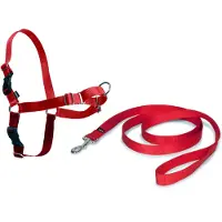 Nayeco Easy Walk Anti Trek Tuig, De Riem en Harnas voor Trekkende Hond