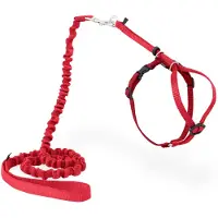 Petsafe Easy Walk Cat Harness met Bungee Leash - Tuigje voor het uitlaten van je kat - Rood of Blauw - S/M/L - Kleur: Rood, Maat: Medium 27-36 cm
