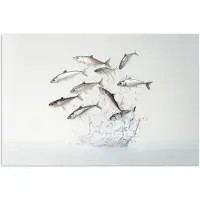 PosterMonkey Poster 30x20 cm - Vissen - Water - Wit - Posters - Kamer decoratie - Wanddecoratie woonkamer - Muurdecoratie slaapkamer