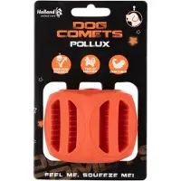 Dog Comets Pollux Oranje