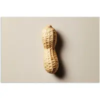 PosterMonkey Poster 30x20 cm - Pinda - Ruw - Beige - Posters - Wanddecoratie keuken - Muurdecoratie woonkamer - Decoratieve accessoires - Kamer muur decoratie