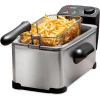 Alpina Frituurpan 3 Liter - Friteuse met Instelbare Thermostaat - Frituur met Uitneembare Mand - Frietpan 2000W - 32,3 x 20,5 x 18,9 cm - RVS