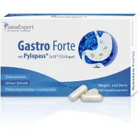 SanaExpert Gastro Forte met Pylopass, darmkuur na antibioticagebruik, bifidobacteriën, berkensiroopextract, lijnzaadschillen, lijnzaad (30 capsules)