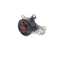 AKS DASIS 570146N Waterpomp