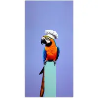 PosterMonkey Poster 20x40 cm - Papegaai - Koksmuts - Vogel - Leuk - Posters - Wanddecoratie keuken - Muurdecoratie woonkamer - Decoratieve accessoires - Kamer muur decoratie