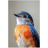 PosterMonkey Poster 80x120 cm - Kleurrijk - Vogeltje - Veren - Blauw - Posters - Kamer decoratie - Wanddecoratie woonkamer - Muurdecoratie slaapkamer
