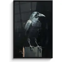 PosterMonkey Poster in lijst - Fotolijst 80x120 cm - Posters - Raaf - Vogels - Zwart - Posterlijst zwart - Decoratie - Wanddecoratie woonkamer - Muurdecoratie slaapkamer