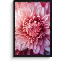 PosterMonkey Poster in lijst - Fotolijst 40x60 cm - Posters - Dahlia - Bloem - Close up - Roze - Posterlijst zwart - Decoratie - Wanddecoratie woonkamer - Muurdecoratie slaapkamer