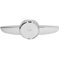 BLIC Sier- / Beschermingspaneel, radiateurgrille 6502-07-0109991P