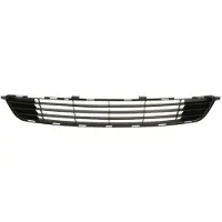 BLIC 6502-07-8116910P Ventilatiegrille, bumper