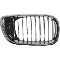 BLIC 6502-07-0061994AP Radiator grill