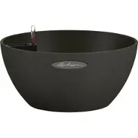 Lechuza - Cubeto Color 30 graphite black