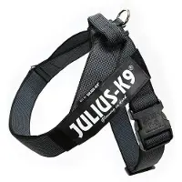 Julius-K9 IDC Riemtuig Zwart - Maat Mini