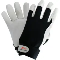 Nitras Safety 8905W // Dexter Winter Handschoen
