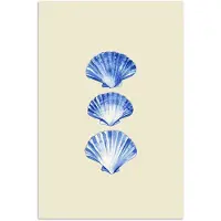 PosterMonkey Poster 120x180 cm - Schelpen - Blauw - Beige - Posters - Kamer decoratie - Wanddecoratie woonkamer - Muurdecoratie slaapkamer XXL