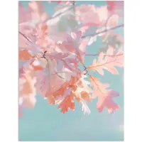 PosterMonkey Poster 30x40 cm - Eikenbladeren - Takken - Roze - Posters - Kamer decoratie - Wanddecoratie woonkamer - Muurdecoratie slaapkamer