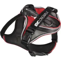Julius-K9 IDC Longwalk Rood - Maat 2XL