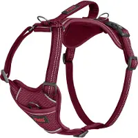 Halti Anatomy Harness