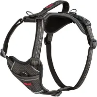 Halti Anatomy Harness