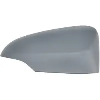 BLIC Buitenspiegel - bekleding 6103-01-1322210P