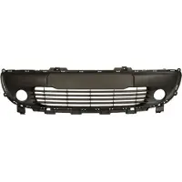 BLIC Bumper - ventilatierooster 6502-07-6004910P