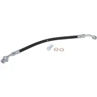 Delphi Remslang LH7810