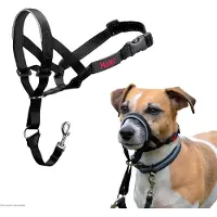 Company of animals Halti Trainingshalsband