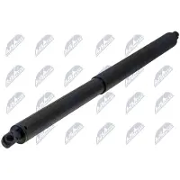 NTY AE-SK-042 Gasveer achterklep