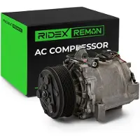 RIDEX 447K0590R Aircopomp