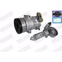 Walker WCP00554 Aircopomp