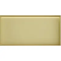 Hotbath &MORE Inbouwnis 30x60x10cm frameless + LED Geborsteld Messing PVD