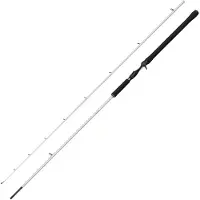 Abu Garcia Beast X2 Baitcasting Rod Zilver 2.54 m / 40-130 g