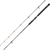 Penn Regiment Iv Spin/pilk Spinning Rod Zilver 2.40 m / 100-250 g