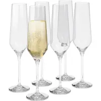 Eva Solo Legio Nova Champagneglas (set van 6)