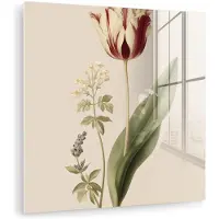 MuchoWow Glasschilderij 20x20 cm - Schilderij acrylglas - Tulp - Minimalistisch - Beige - Foto op glas - Muurdecoratie woonkamer - Wanddecoratie slaapkamer - Schilderijen