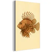 MuchoWow Aluminium schilderij 40x60 cm - Wanddecoratie metaal - Strepen - Vis - Rond - Stekels - Metalen muurdecoratie woonkamer - Decoratie industrieel - Foto op dibond - Industriële accessoires slaapkamer